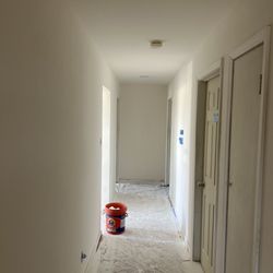 Lio Carpenter & Finish - Smooth texture