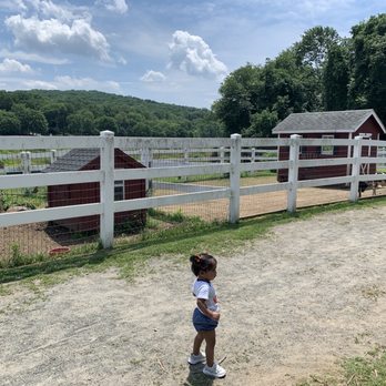 Brookhollow's Barnyard - My daughter had a blast - Pumpkin Patches Near Me - Boonton, New Jersey