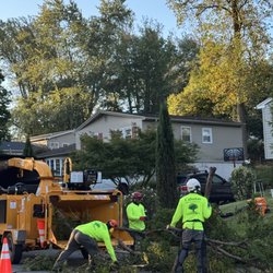 Cabanas Tree Expert