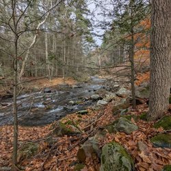Berkshire National Fish Hatchery
