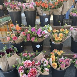 Charlottesville City Market
