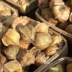 August 8, 2026 Ground Cherries $6/box or 2 for $10