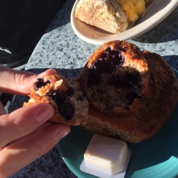 Afternoon Delight - Blueberry muffin - American Near Me - Ann Arbor, Michigan Afternoon Delight - Blueberry muffin - American Near Me - Ann Arbor, Michigan