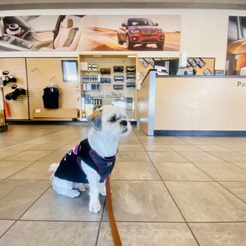 Peter Pan BMW Service - 07.25.2022 - Auto Repair Near Me - Burlingame, California Peter Pan BMW Service - 07.25.2022 - Auto Repair Near Me - Burlingame, California