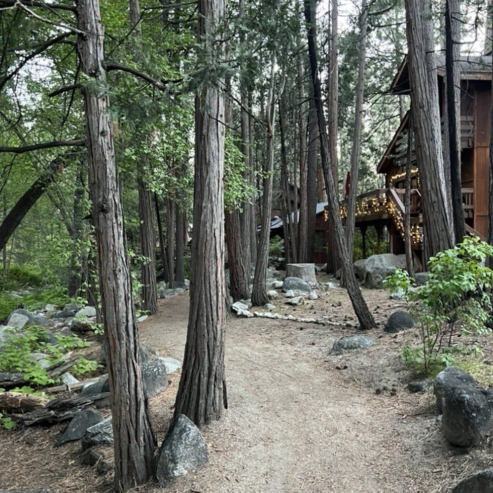 Strawberry Creek Inn - A beautiful morning walk each day to town and back. - Hotels Near Me - Idyllwild, California