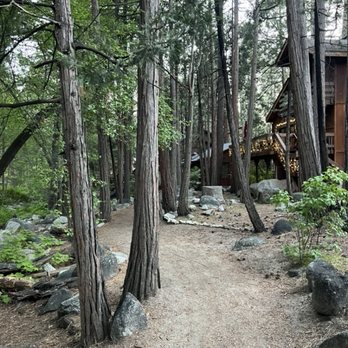 Strawberry Creek Inn - A beautiful morning walk each day to town and back. - Hotels Near Me - Idyllwild, California