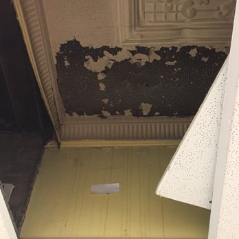 The Healthy Abode - Lead Paint Testing, Lead in Paint Testing - Home Inspectors Near Me - Toronto, Ontario