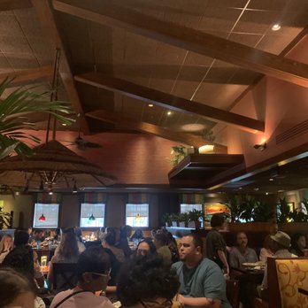 Bahama Breeze - Bars Near Me - Orlando, Florida