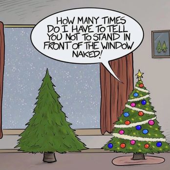 Ivy's Christmas Trees - Don't go NAKED!! - Christmas Trees Near Me - Chicago, Illinois