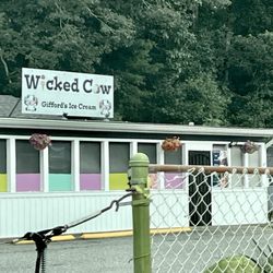 Wicked Cow