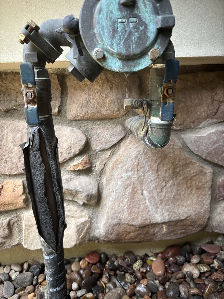 Las Vegas Yard Services - tree service in Las Vegas, NV