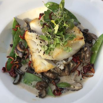 flora - Special - cod with curry sauce - New American Near Me - Westhampton Beach, New York