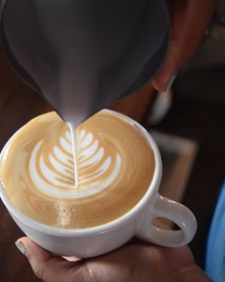 Smelly Cat Coffee House & Roastery by null