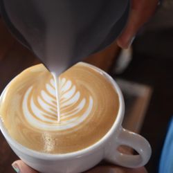 Smelly Cat Coffee