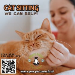 Paws First - Cat Sitting.