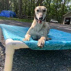 Slippery Rock Veterinary Hospital - Leonard