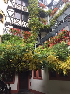 Hotel Doctor Weinstube by null
