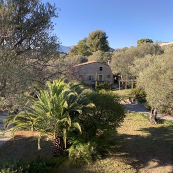 Musée Renoir - Museums Near Me - Cagnes sur Mer, 06