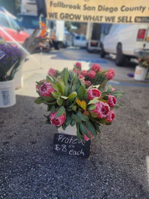 Burbank Farmers Market by null