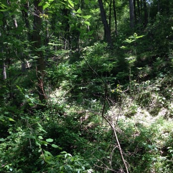 Cameron Park - Hiking - Parks Near Me - Waco, Texas