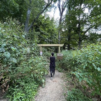 Bearwallow Mountian Trail - Trail entrance - Hiking Near Me - Hendersonville, North Carolina