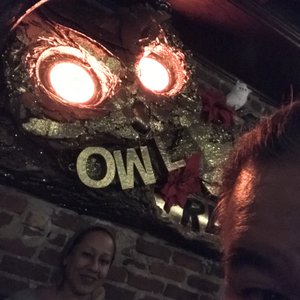 Photo of Owl Tree - San Francisco, CA, United States. We are night owls!