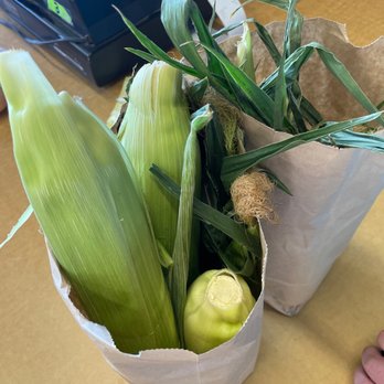 Sloughhouse Corn - Fruits & Veggies Near Me - Sloughhouse, California Sloughhouse Corn - Fruits & Veggies Near Me - Sloughhouse, California