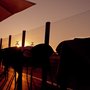 Photo of Taberna do Canal
