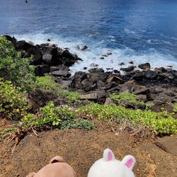 Ninini Lighthouse - Brown and Cony adventure!