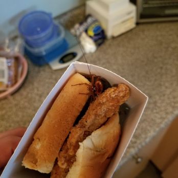 Krystal - Roach on sandwich from a to go order - Fast Food Near Me - New Orleans, Louisiana Krystal - Roach on sandwich from a to go order - Fast Food Near Me - New Orleans, Louisiana