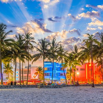 Enjoy My Diet - Nutritionists Near Me - Miami, Florida Enjoy My Diet - Nutritionists Near Me - Miami, Florida