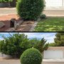 Photo of Maven Tree Services