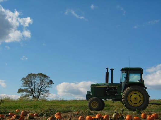 Alstede Farms by null