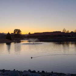 Victor Valley College - One love duck in search of their other love!
