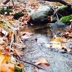 Glen Summit Spring Water Division of TSW - Spring water flowing on Penobscot Mountain.