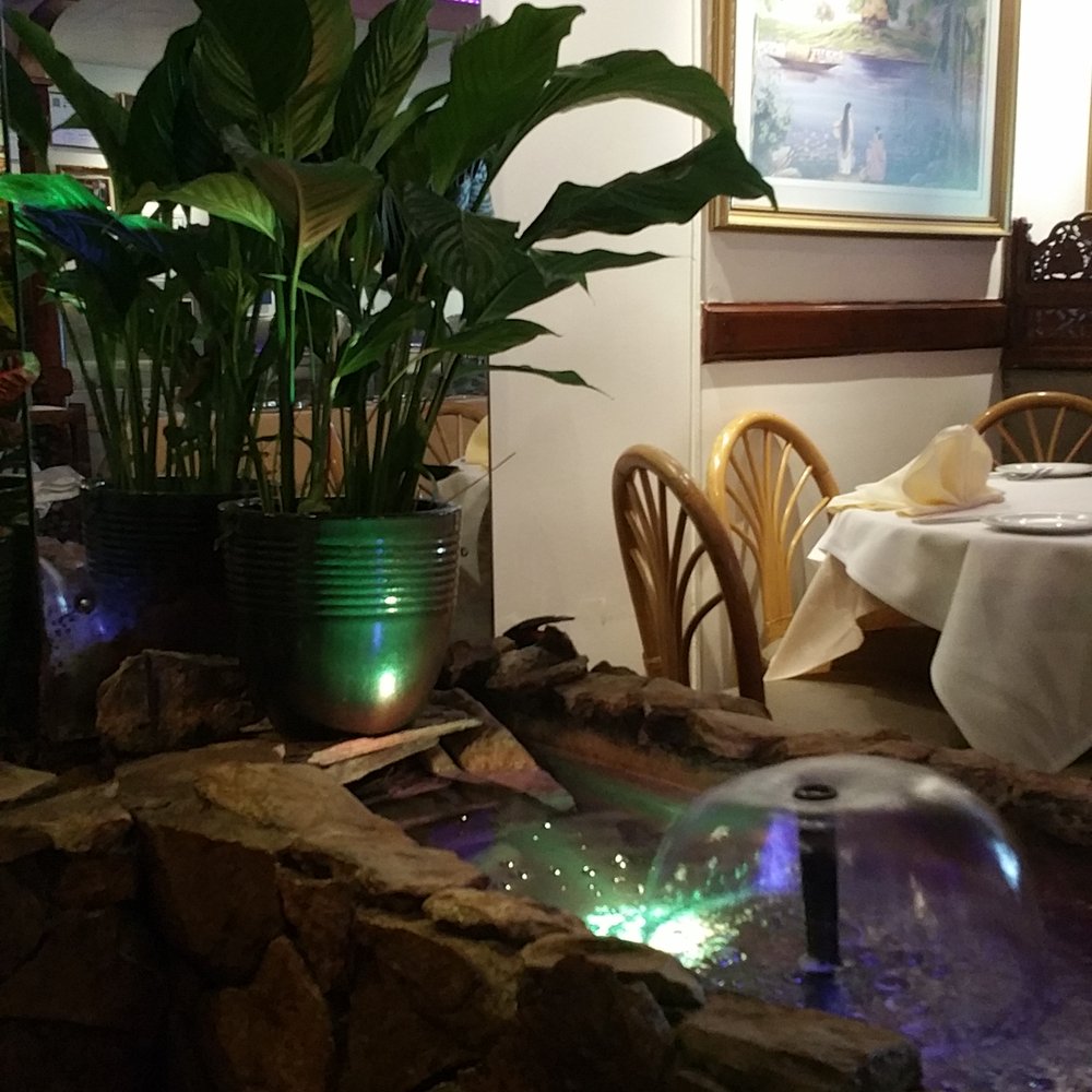 Dipali Restaurants - Goldfish pond..very comfy. - Indian Near Me - London, XGL