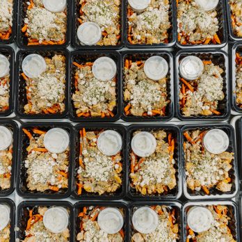 Healthy Meals Direct - a variety of meals in plastic containers - Food Delivery Services Near Me - West Babylon, New York Healthy Meals Direct - a variety of meals in plastic containers - Food Delivery Services Near Me - West Babylon, New York