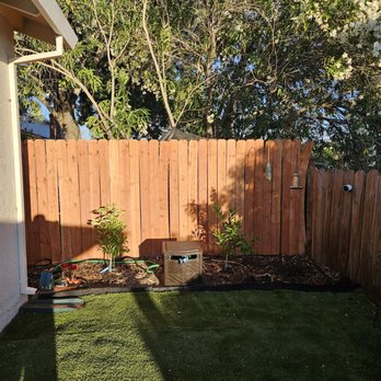 Califa Tree Care - After the 2 smaller tree was removed - Tree Services Near Me