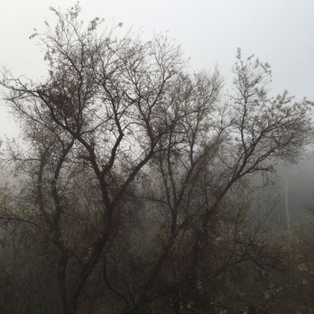 Whiting Ranch Wilderness Park - The fog in the morning was cool - Parks Near Me - Foothill Ranch, California Whiting Ranch Wilderness Park - The fog in the morning was cool - Parks Near Me - Foothill Ranch, California