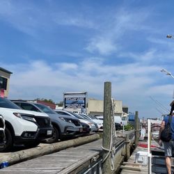 Long Island Whale & Seal Watching