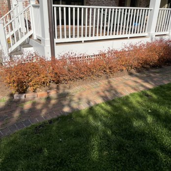 Skylar Landscape - Weed removal and mulch spreading. - Junk Removal & Hauling Near Me Skylar Landscape - Weed removal and mulch spreading. - Junk Removal & Hauling Near Me