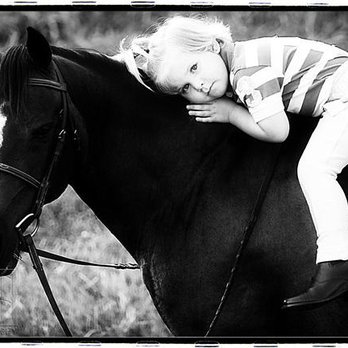 Select Sport Horses - Horseback Riding Near Me - Knoxville, Tennessee Select Sport Horses - Horseback Riding Near Me - Knoxville, Tennessee