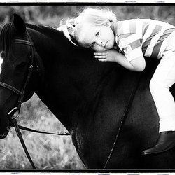 Select Sport Horses