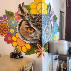 The Toasted Owl Cafe - Beautiful owl decor.