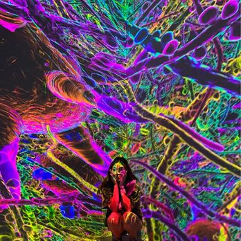 ARTECHOUSE New York - me - Art Museums Near Me - New York, New York