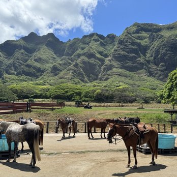 Kualoa Ranch - Tours Near Me - Kaneohe, Hawaii Kualoa Ranch - Tours Near Me - Kaneohe, Hawaii
