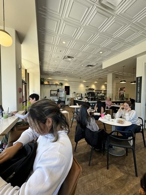 Gratitude Coffee Bar by null