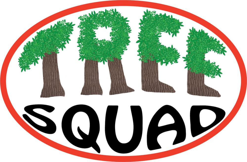 The Tree Squad - tree service in Minnetonka, MN