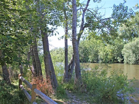 Green Leaf River Edge