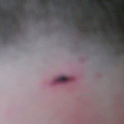 Middlefield Barber Shop - Getting a cut from the careless employee.